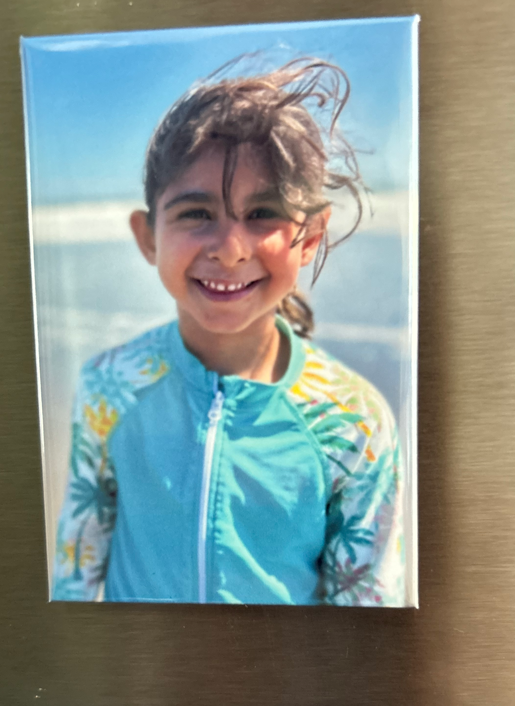Single 3"x 2" Photo Magnet