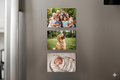 Pack of 3- 3"x 2" Photo Magnets